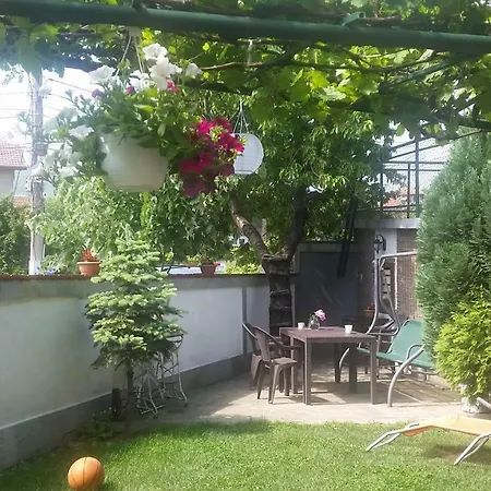 Мансарда Асенови * ソフィア