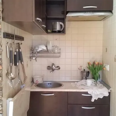 Мансарда Асенови Homestay Sofia