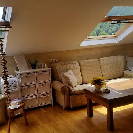 Homestay Мансарда Асенови
